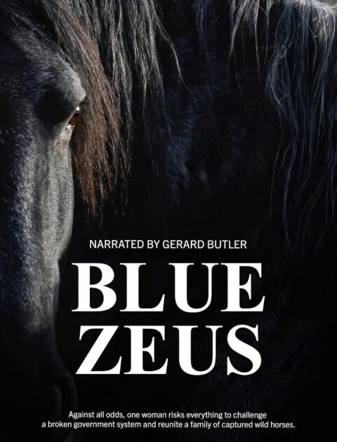 Blue Zeus - The Documentary