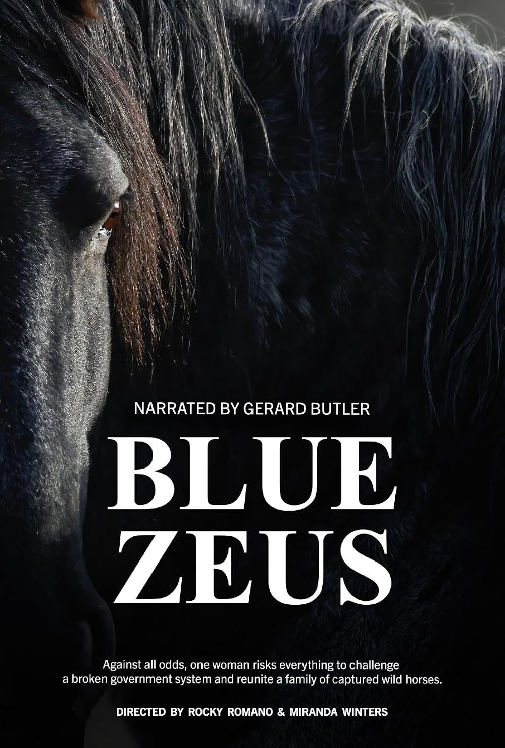 Blue Zeus